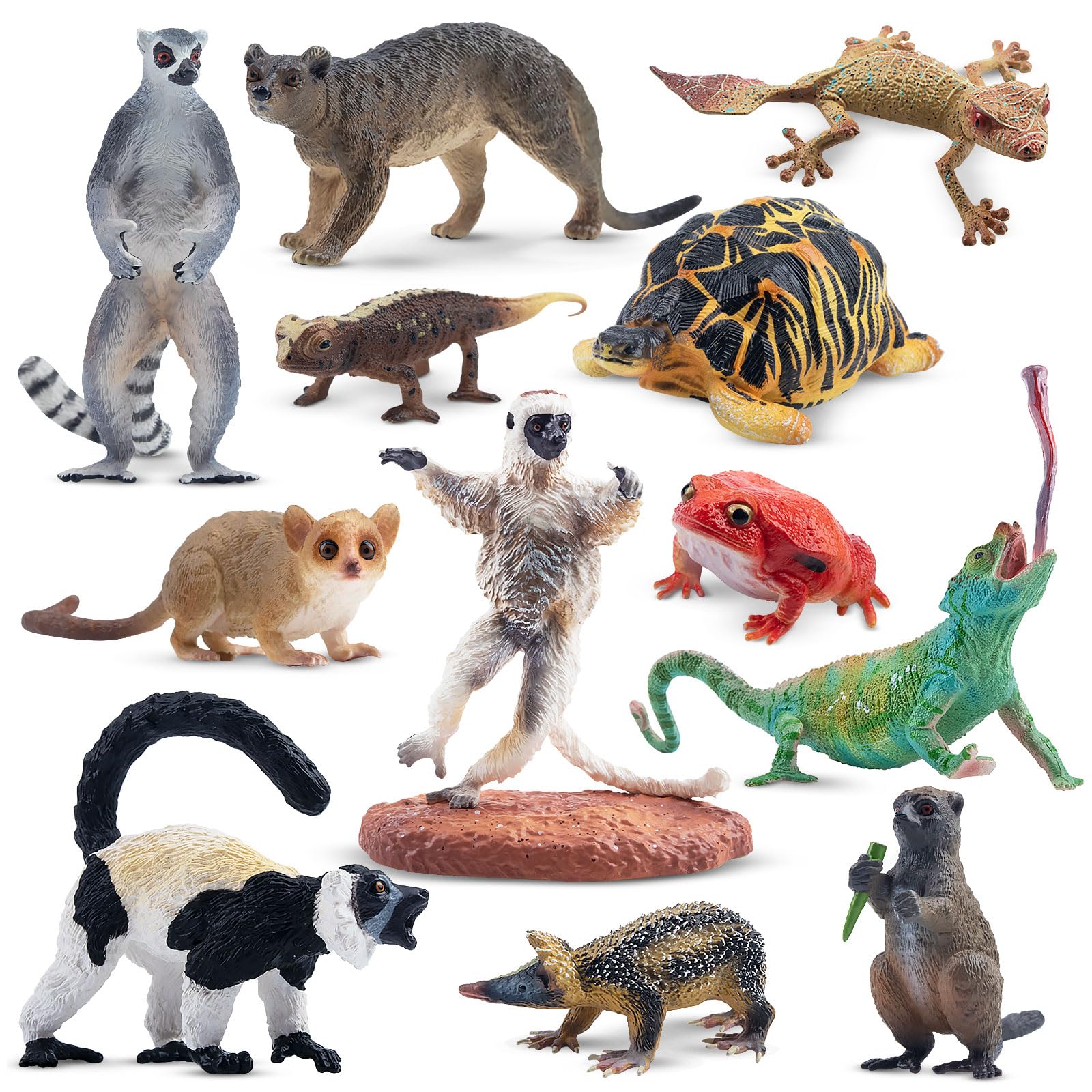 TOYMANY Set De 12 Figurines Animaux Forêt Nord-américaine – élan, Ours, Lynx, Aigle, Plastique PVC Réaliste, Jouet éducatif