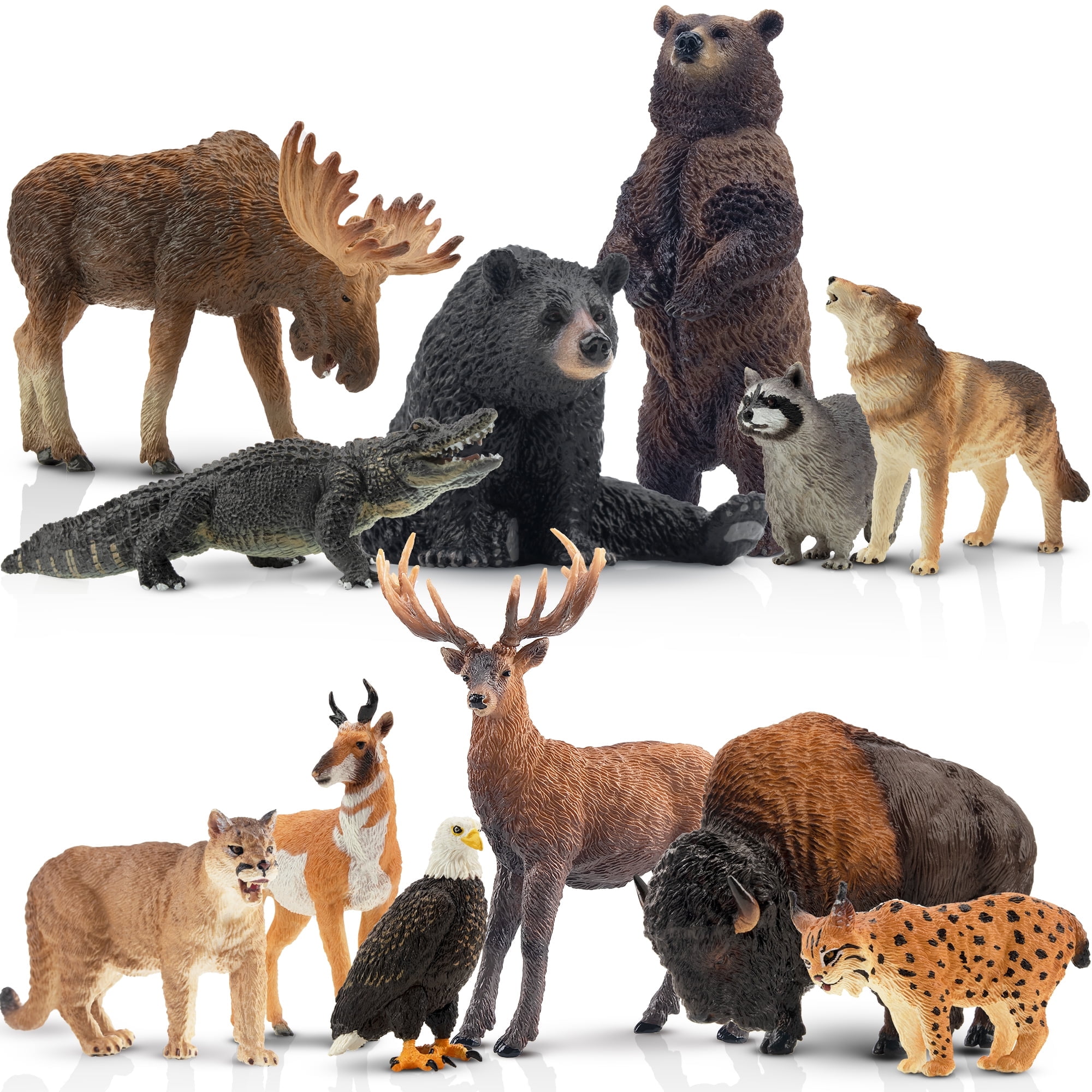 Toymany 12PCS North American Forest Animal Figurines, Realistic Jungle Animal Set Includes Raccoon,Lynx,Wolf,Bear,Eagle, Educational Toy Cake Toppers Christmas Birthday Gift for Kids Toddlers