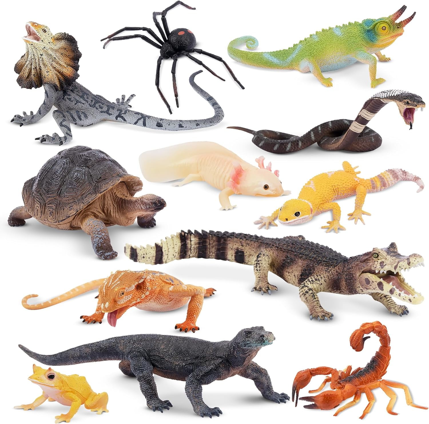 Toymany 12PCS Reptile Animal Figurine Toys SetCold Blooded Amphibians Desert Animal Figures Set with Komodo Dragon Lizard Snake Chameleon Toy Birthday Gift Party Favor for Kids Toddlers