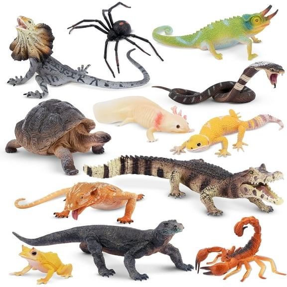 Toymany 12PCS Reptile Animal Figurine Toys SetCold Blooded Amphibians Desert Animal Figures Set with Komodo Dragon Lizard Snake Chameleon Toy Birthday Gift Party Favor for Kids Toddlers