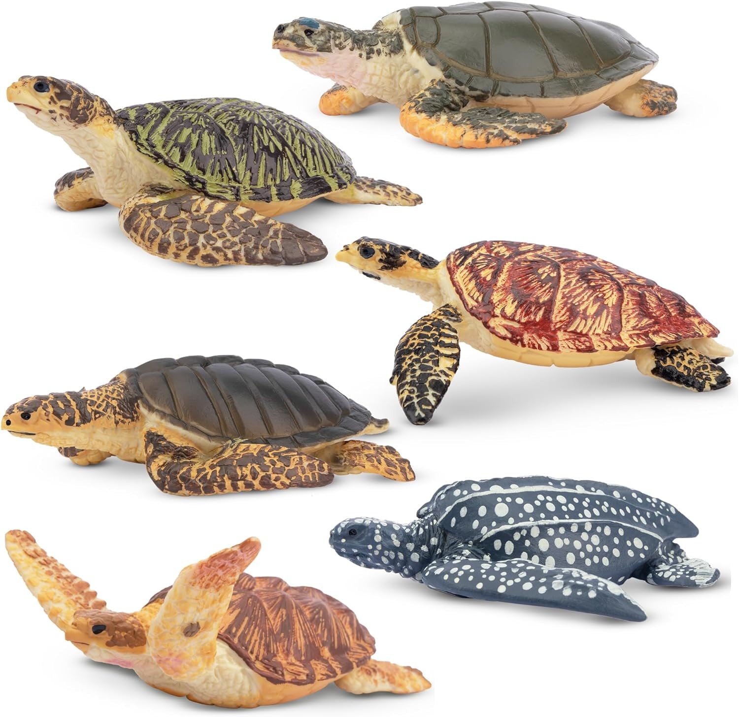 Toymany 6-Piece Multicolor Realistic Sea Turtle Figurine Set