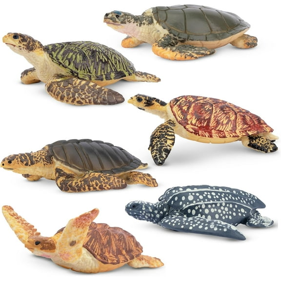 Toymany 6PCS Realistic Sea Turtle Figurines, Plastic Ocean Sea Animals Figures Set Includes of Turtles, Educational Toy Cake Toppers Christmas Birthday Gift for Kids Toddlers