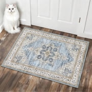 Toyoso 2x3 Machine Washable Area Rug, Soft Polyester Vintage Medallion Distressed Accent Rug, Non-Slip Oriental Floral Carpet for Living Room Bedroom, Light Blue