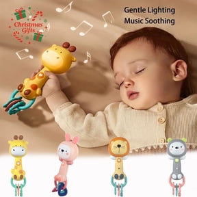 Shaken Rattle Shaking Toy