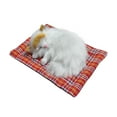 thumbnail image 1 of Toys 50% Off Clearance!Tarmeek Simulation Sleeping Cat Dolls Toys,Simulation Cat Plush Animals Toy Will Call With Cloth Mat Sleeping Cat Doll Plush Toy for Room Decor,Birthday Gifts for Kids, 1 of 8