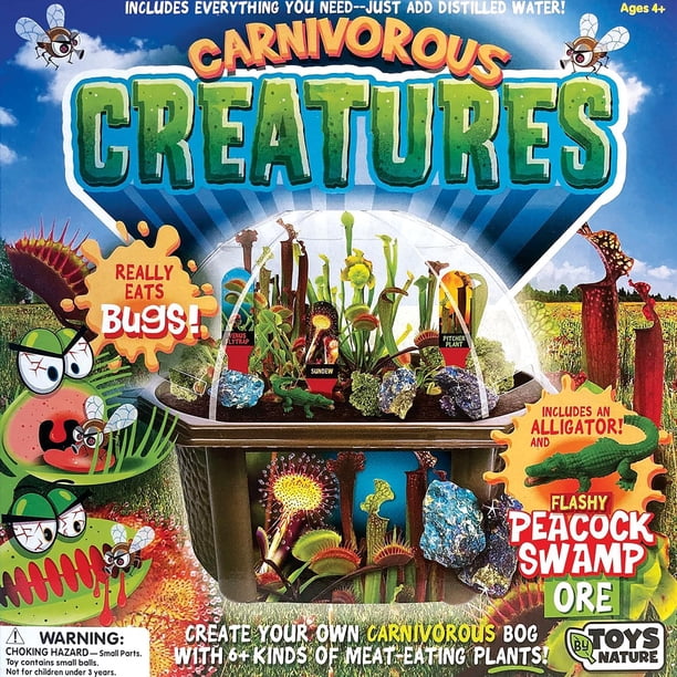 Toys By Nature: Carnivorous Creatures - DIY Biosphere Terrarium