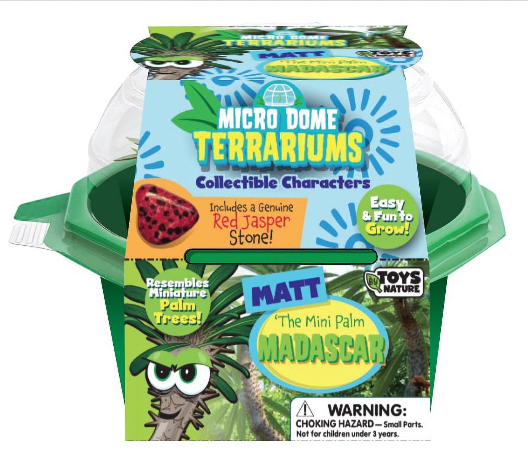 Matt the Madagascar Mini Palm Indoor Terrarium Kit with Red Jasper Stone