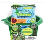 Toys By Nature - Matt the Madagascar Mini Palm - Indoor Micro-Gardening Kit