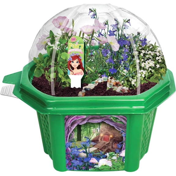 Grow Your Own Mini Fairy Wonderland Microdome Terrarium Starter Kit, Enjoy Sweet Scented Flowers and Grow Indoor Terrariums - Includes Complete Supplies to Create Your Magical Plant Garden
