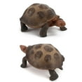 thumbnail image 1 of CWCWFHZH Tortoise Figurines Toys Home Decorate Preschool Educational Education Toys, 1 of 3