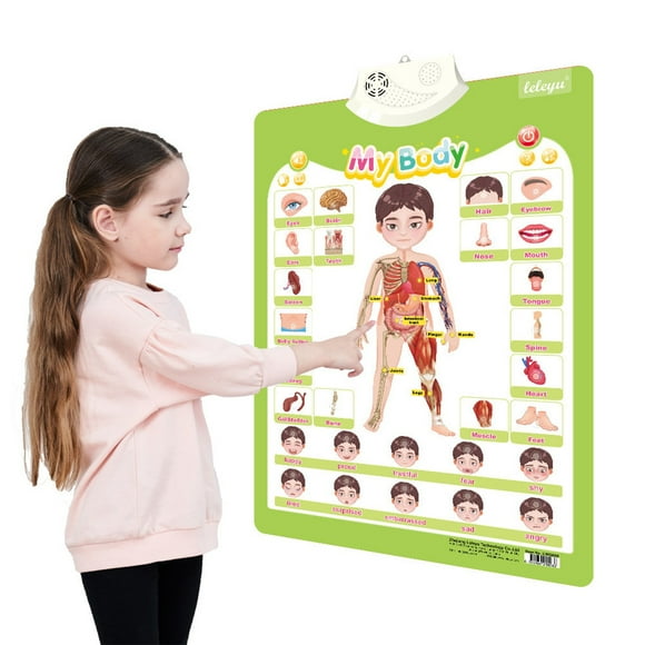 Toys Clearance! DIVVce Electronic Alphabet Wall Chart for Toddlers 1-3, My Body, Educational Learning Toys, Birthday Gifts for Age 1 2 3 4 5 Year Old Boys Girls