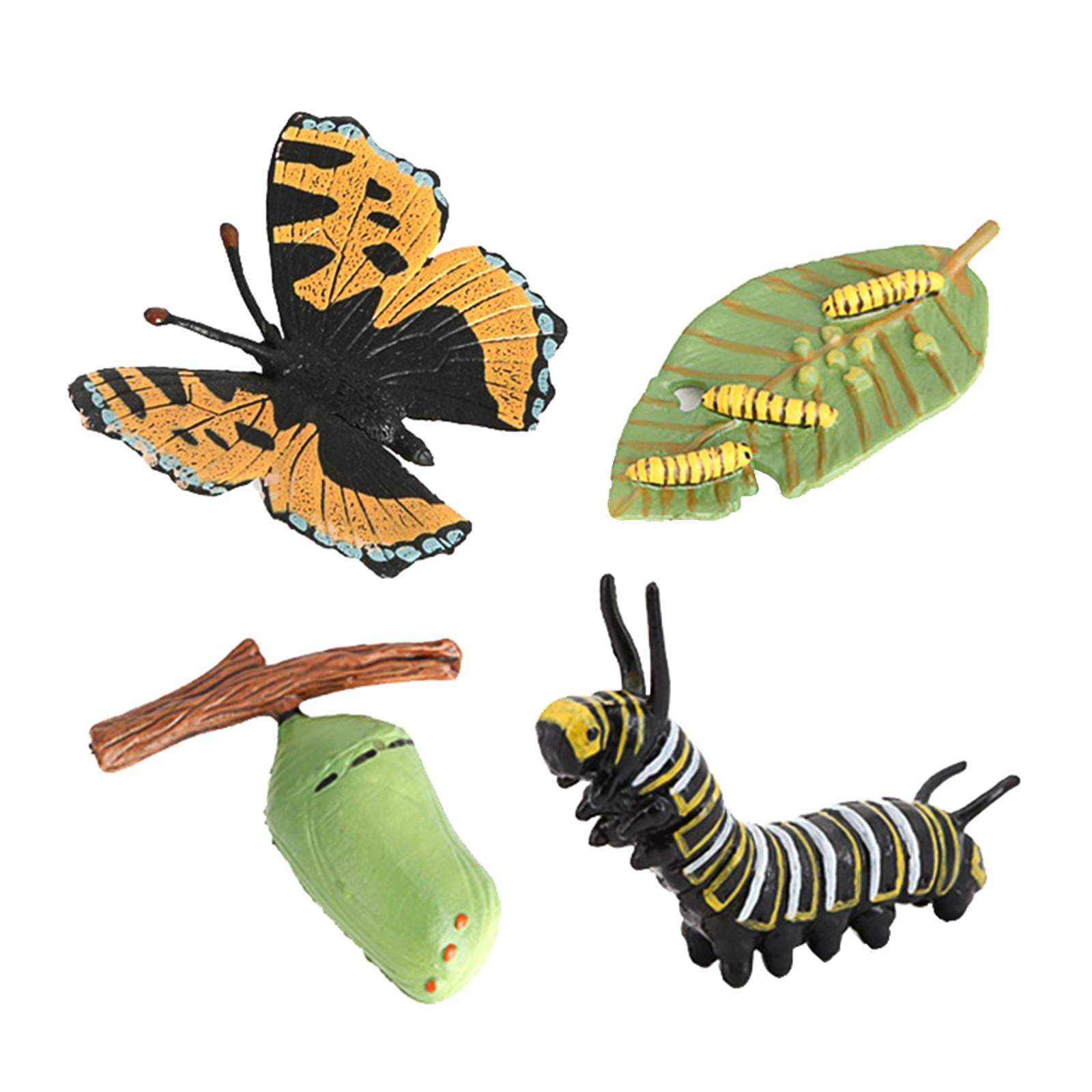 Toys Eggs Baby Little Caterpillar Chrysalis Butterfly