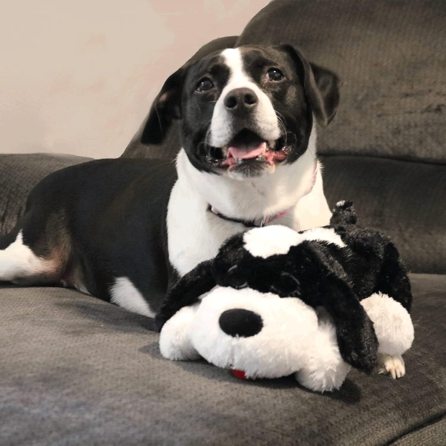 Beautiful view of Compression Shock Reduction Dog Crate Toys