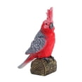 thumbnail image 1 of ToysYGift Realistic Parrot Birds Figurines, Plastic Macaw Animals Figures Set includes Cockatoo,Scarlet Macaw, Educational Toy Cake Toppers Christmas Birthday Gift for Kids Toddlers, 1 of 4