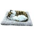 thumbnail image 1 of ToysYGift Simulation Cat Doll Lovely Plush Toy Cute Animal Decoration Sleeping Cats with Mat Stuffed Toys Gift for Kids, 1 of 3