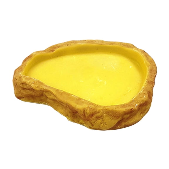 Stgfyxgs Terrarium Water Dish Reptile Water Bowl Decorative Reptile Feeder Reptile Food Dish for Frog,Chameleon, Bearded Dragon, Snake 13x10x2cm