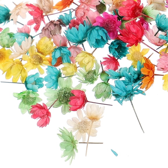 Toyvian Multi Color Pressed Pink Dried Flowers Material for DIY Resin Craft Accessories