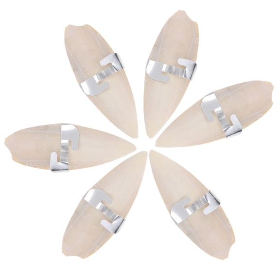 Toyvian Cuttlebone For Birds 6 Pack Cuttlefish Bone Molar Chew Toy Bird Bite Cuttlebone For Parrots