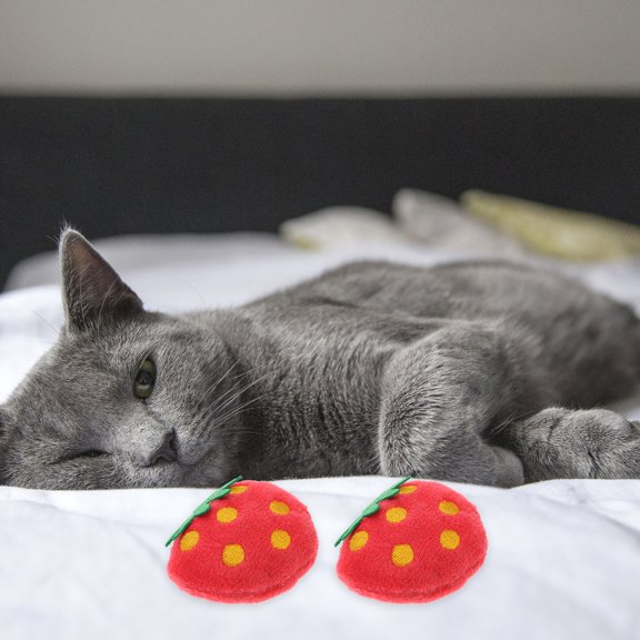 Toyvian 10pcs Funny Cat Toys Plush Chew for Home Cleanliness