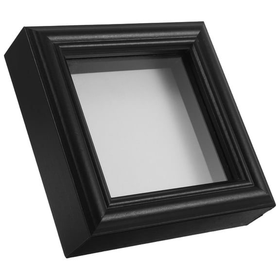 Toyvian Black Wooden Insect Specimen Display Case for Storage and Picture Collection, and Stylish Organizer