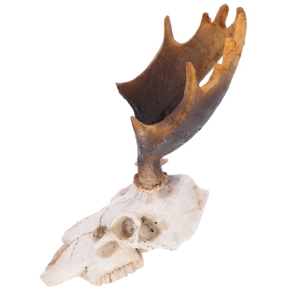 Toyvian Reptile Terrarium Skull Ornament Resin 1Pack