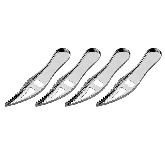 Toyvian 4Pcs Practical Fish Scale Scraper Tool with Easy Grip Handle for House Use