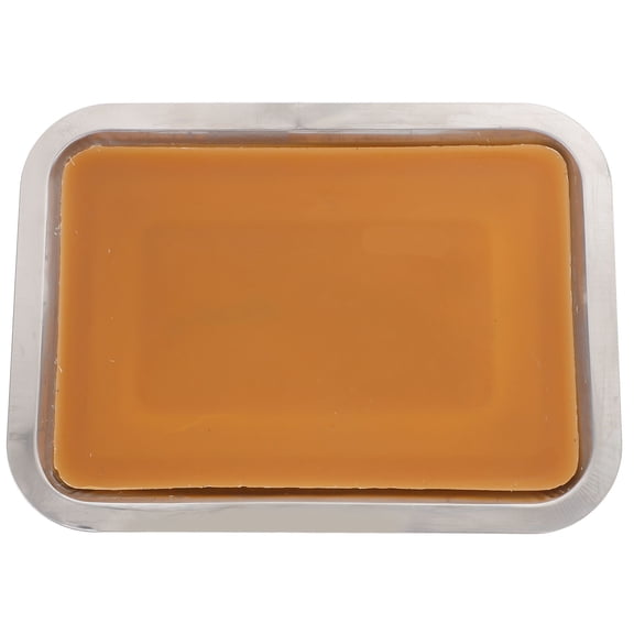 Toyvian Chocolate Wax Dissection Tray for Junior Class Laboratory and Classroom