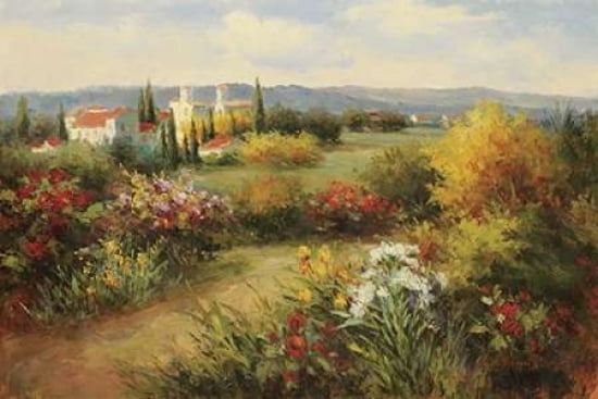 Traccia Bella Canvas Art - C Klaus (24 x 36)