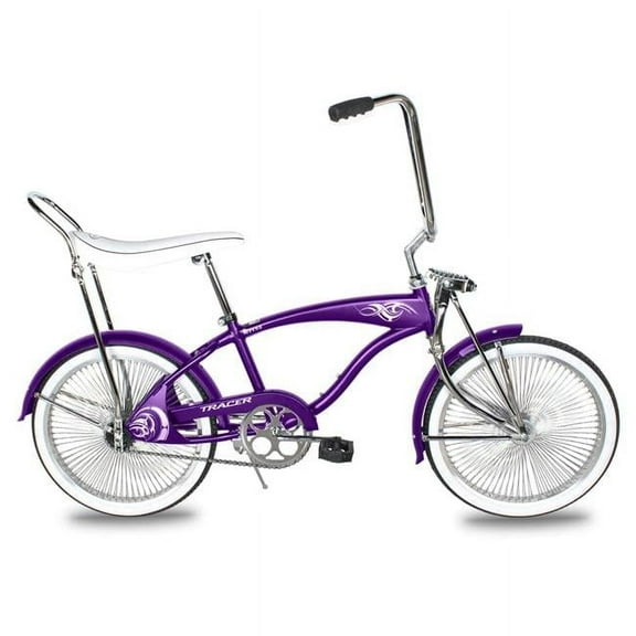 Tracer Hyena Beach Lowrider Cruiser Bikes, 20 inch Wheels, Hi-rise Handlebar, Coaster Brake, for Teen and Shorter Riders,Purple