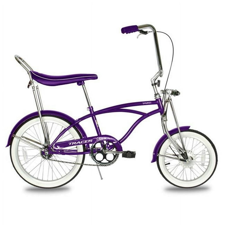 Lowrider ローチャリ SCHWINN 20インチ 16インチ 送料込み Lowrider