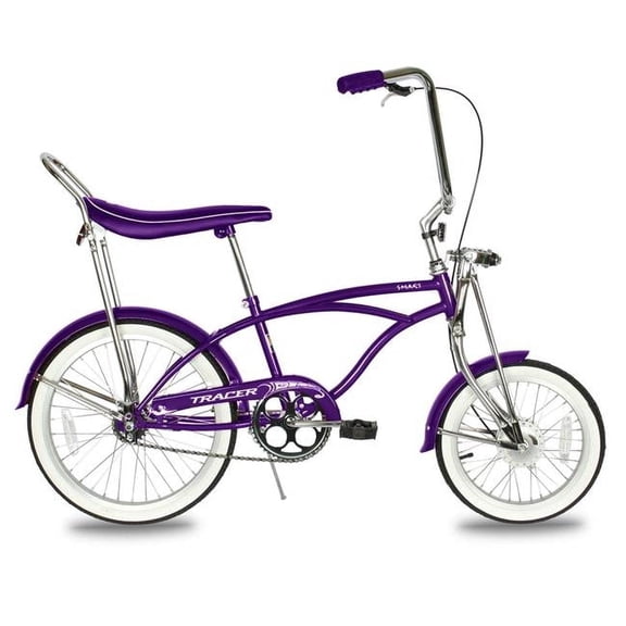 Tracer Smart 20 inch Lowrider Bike,Retro Banana Seat,Purple,Beach Cruiser City Bicycle,Coaster Brake Bike,20'' Wheels