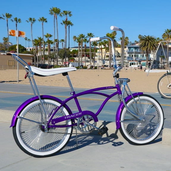 Tracer Tamron 20'' Lowrider Bike,20 inch Wheel Size,Beach Cruiser Bike for Teens Adults,Banana Seat,Purple,City Commute Bicycle