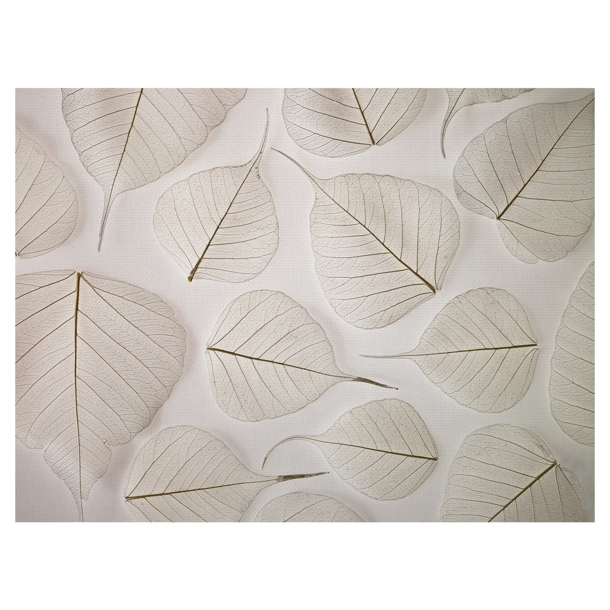 Tracery by Assaf Frank Floral Photo Canvas Art