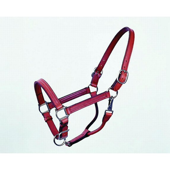 Track Halter