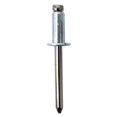 thumbnail image 1 of Track Rivets Ss66F S/S 66D (100), 1 of 1