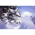thumbnail image 1 of Tracks in The Snow Poster Print by Natural Selection Craig Tuttle - 36 x 24 - Large, 1 of 1