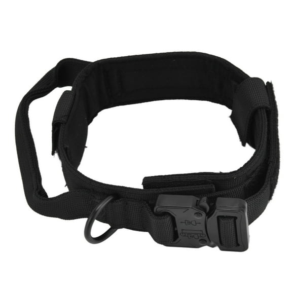 Traction Dog Collar with Buckle Nylon Iron Training Hunting Collar Pet Accessory for OutdoorBlack M
