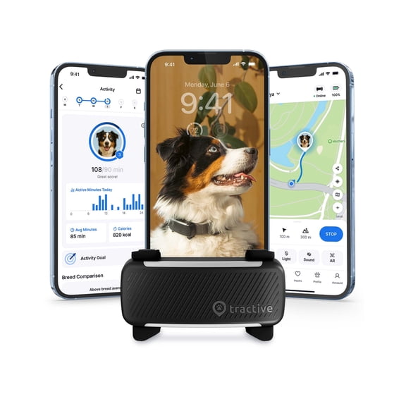 Tractive Smart Dog GPS Tracker with 6 Month Subscription Real-Time Location & Vital Signs Monitoring Virtual Fence, Black