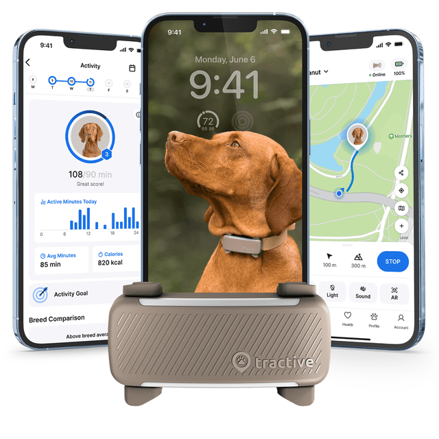 Tractive Smart GPS Dog Tracker with Vital Signs Monitoring (Brown ...