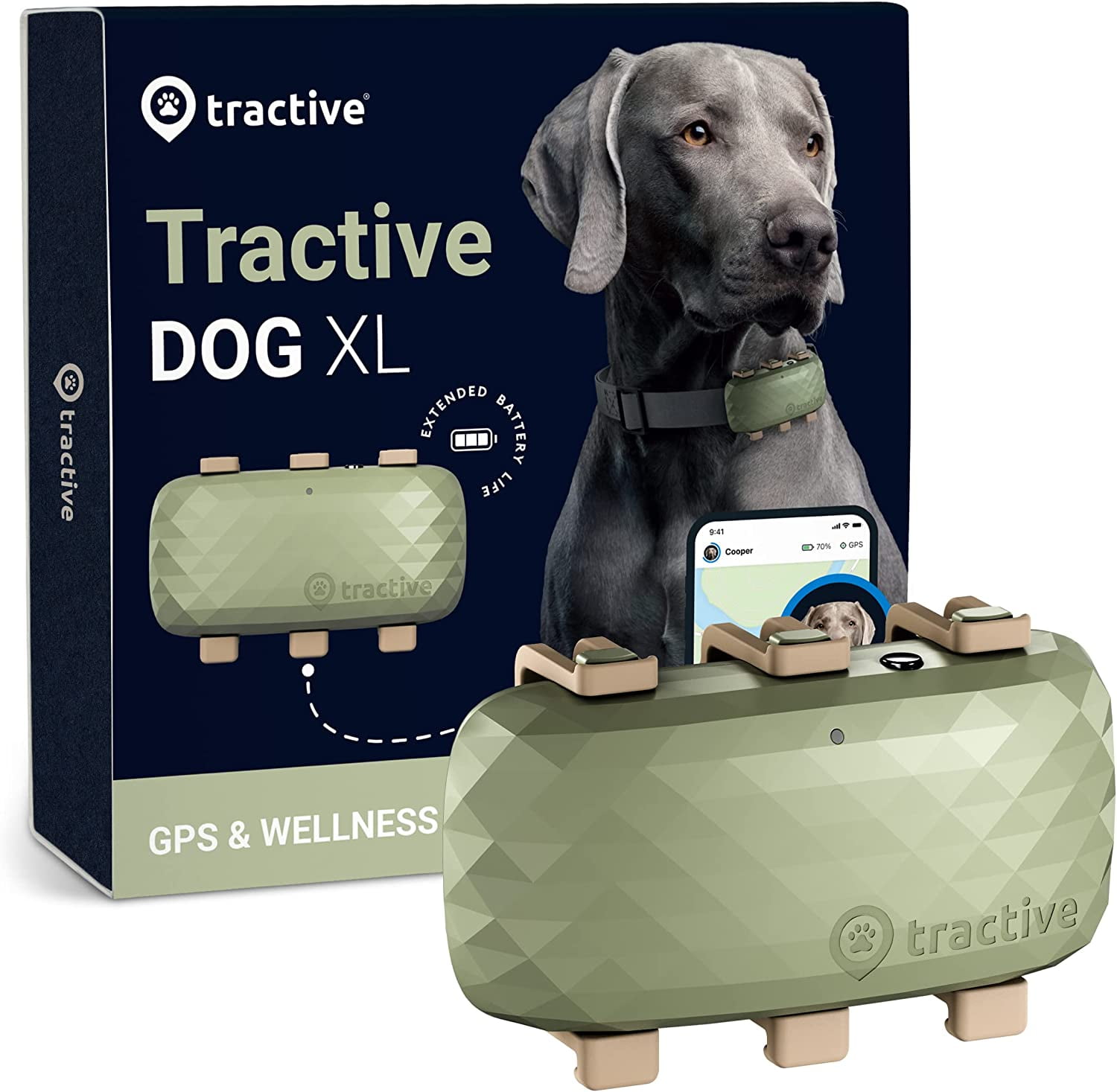Tractive GPS Tracker and Activity Monitor Review
