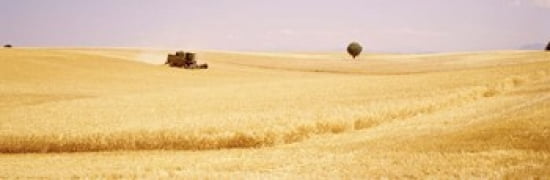 Tractor Wheat Field Plateau De Valensole France Canvas Art - Panoramic Images (36 x 12)