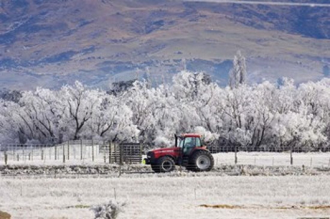 Tractor and Hoar Frost Sutton Otago South Island New Zealand Canvas Art - David Wall DanitaDelimont (34 x 23)