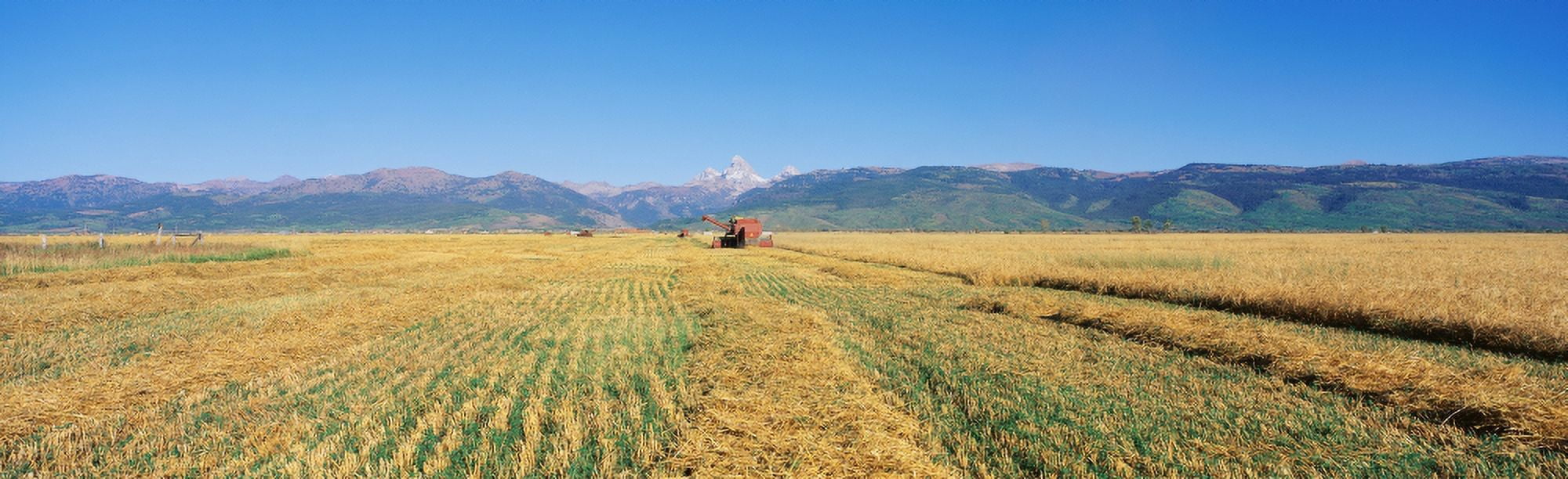 Tractor mowing fields Canvas Art - Panoramic Images (36 x 12)