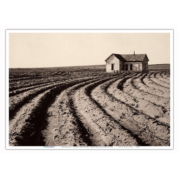 Tractored Out - Childress County, Texas - Vintage B&W Photograph by Dorothea Lange c.1938 - Master Art Print 10in x 14in