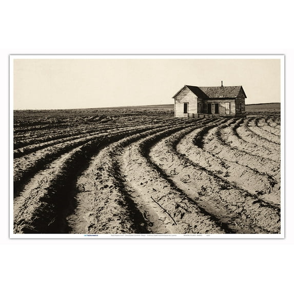 Tractored Out - Childress County, Texas - Vintage B&W Photograph by Dorothea Lange c.1938 - Master Art Print (Unframed) 12in x 18in