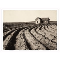 Tractored Out - Childress County, Texas - Vintage B&W Photograph by Dorothea Lange c.1938 - Master Art Print (Unframed) 9in x 12in