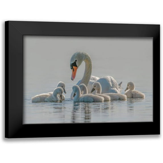Tracy 24x17 Black Modern Framed Museum Art Print Titled - Mom Is The Whole World For Babies.