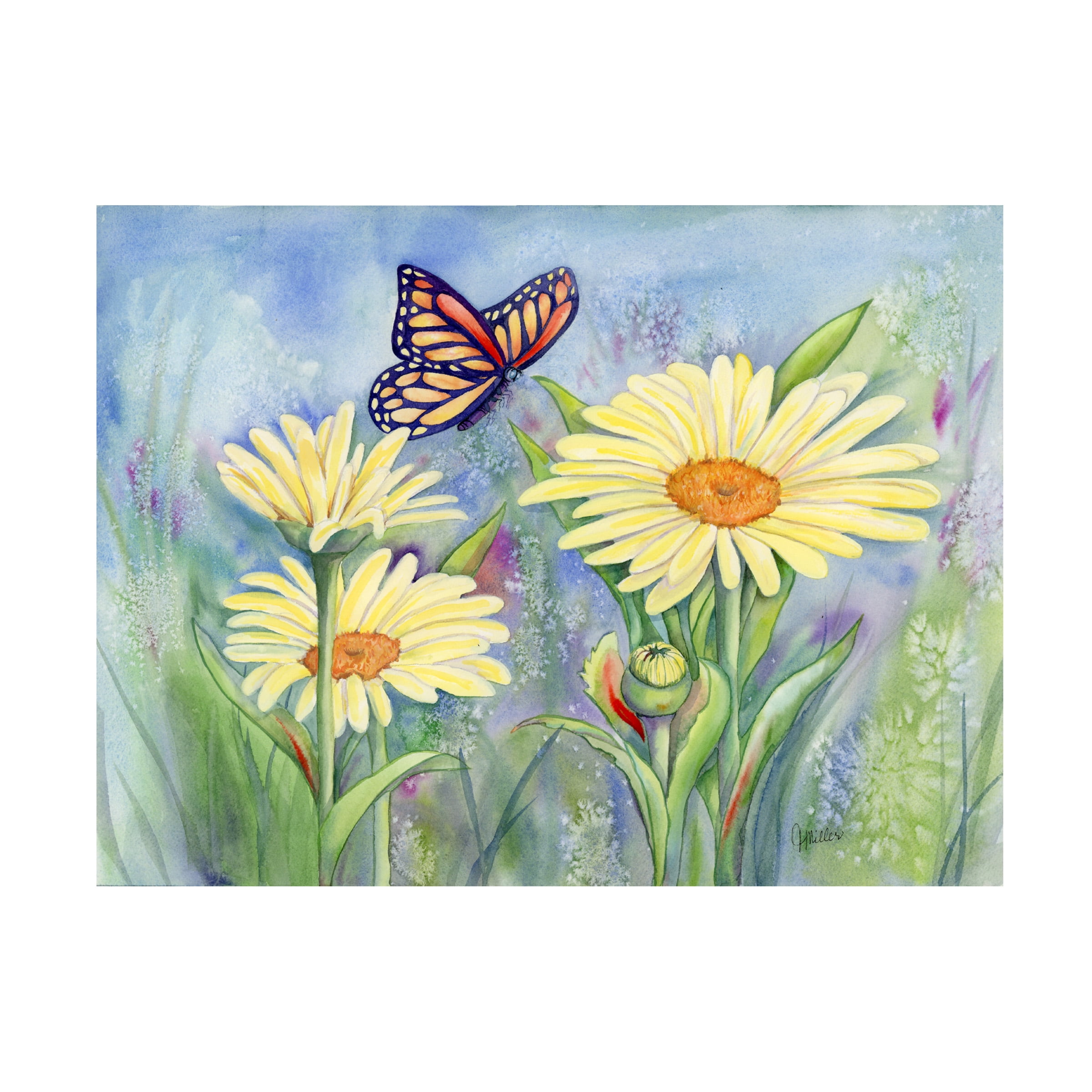 Tracy Miller 'Butterfly Daisy' Canvas Art