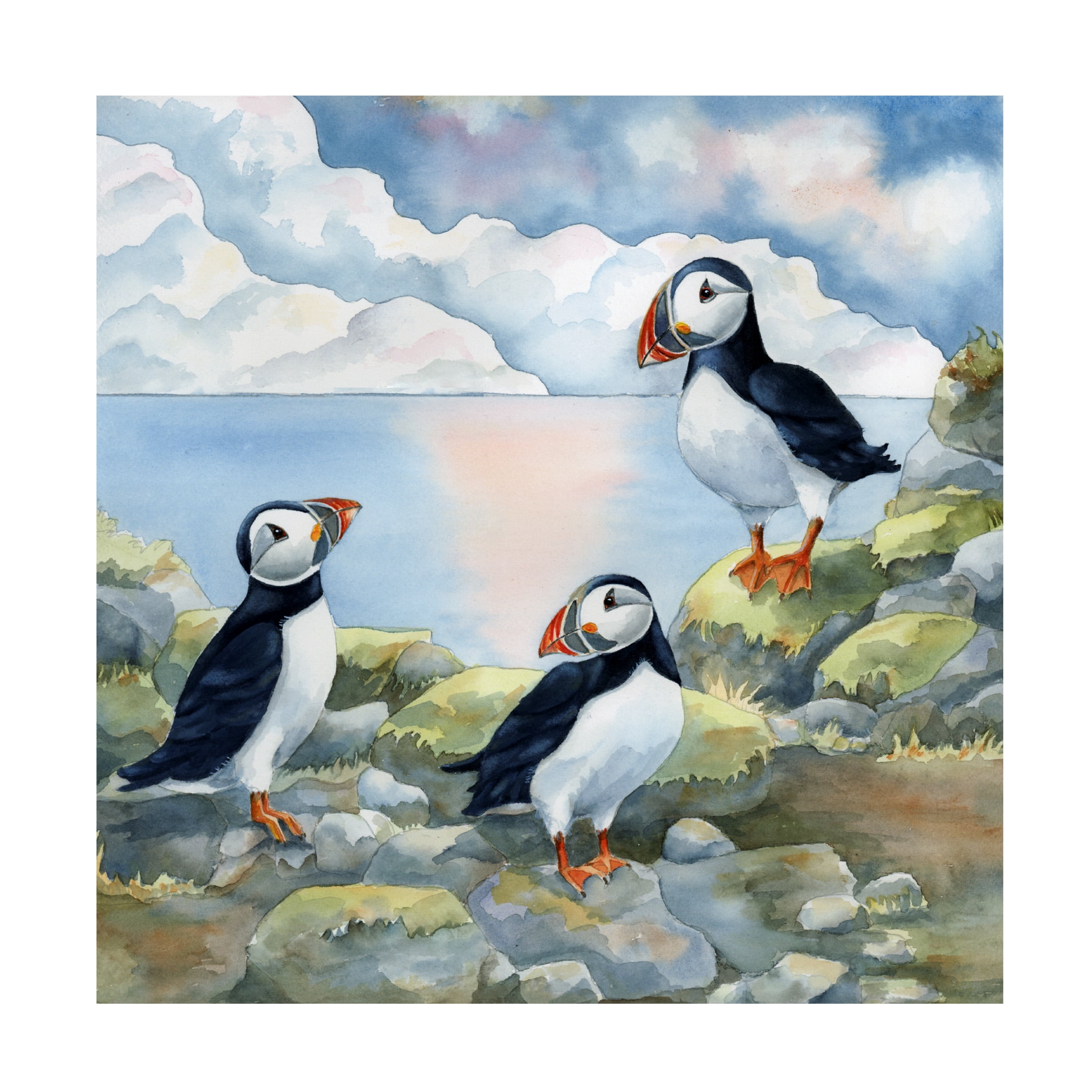 Tracy Miller 'Puffins On Cliff' Canvas Art