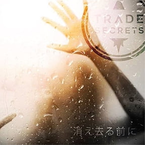 Trade Secrets - Before We Vanish - Music & Performance - CD